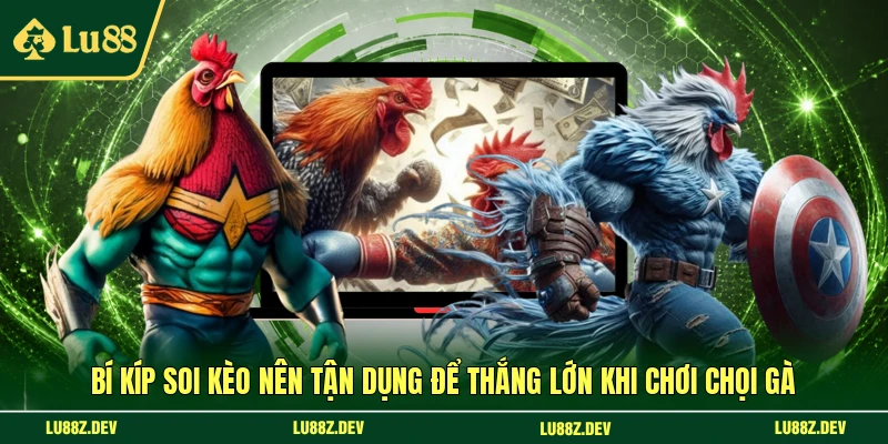 Bí kíp soi kèo nên tận dụng để thắng lớn khi chơi chọi gà