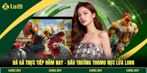 Đá Gà Trực Tiếp Hôm Nay